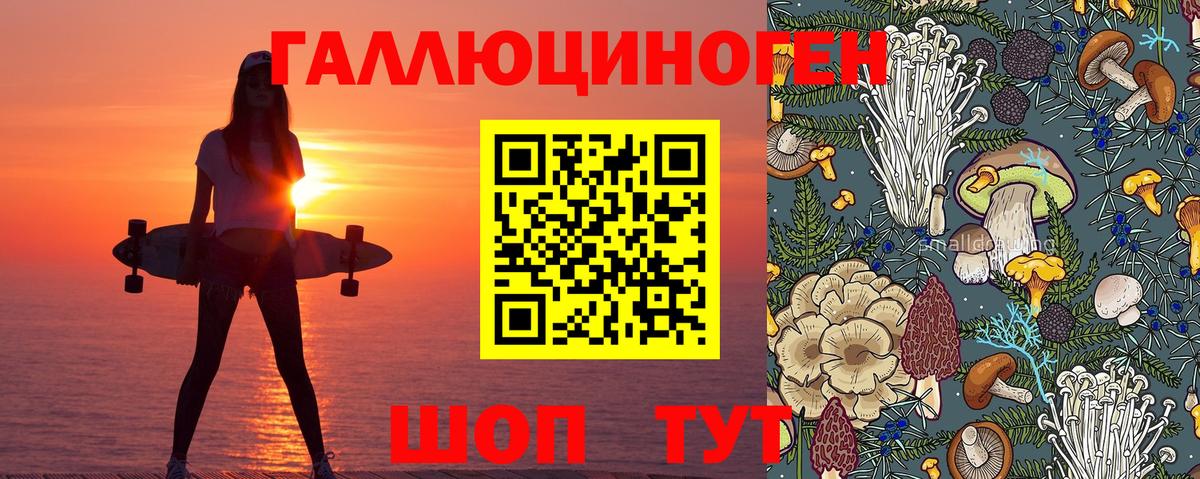 Псилоцибиновые грибы мицелий Гуково