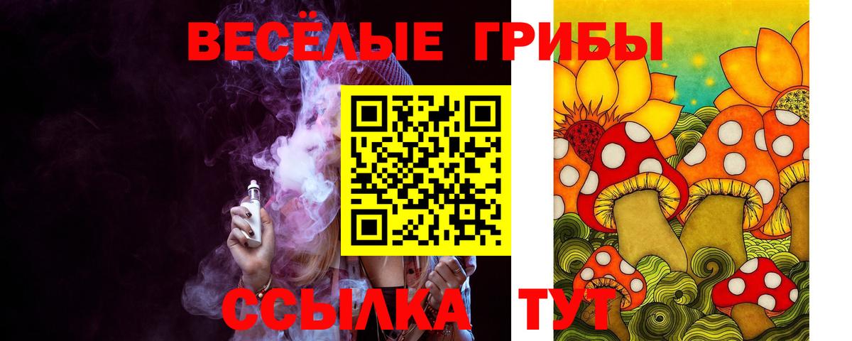 Гуково  продажа наркотиков  Псилоцибиновые грибы GOLDEN TEACHER  Вход с VPN  Галлюциногенные грибы ЛСД 